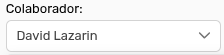*SelectorColaborador